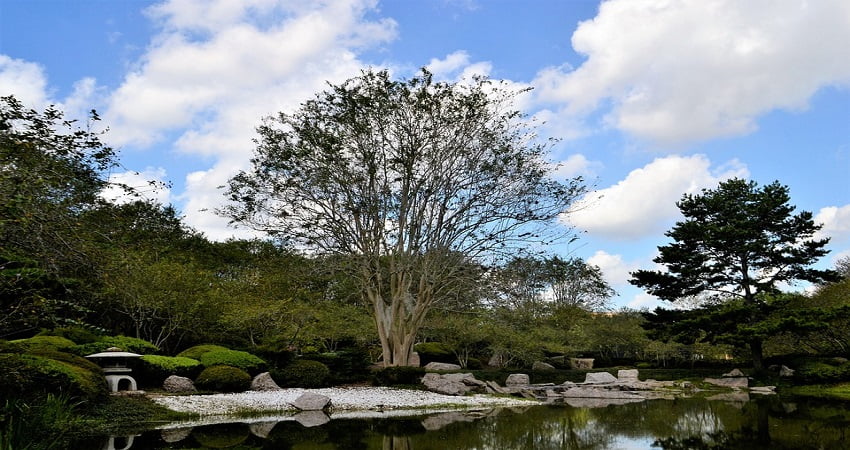 jardin japonais