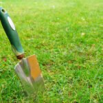 5 étapes pour semer du gazon parfait