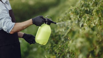 Vinaigre blanc désherbant interdit