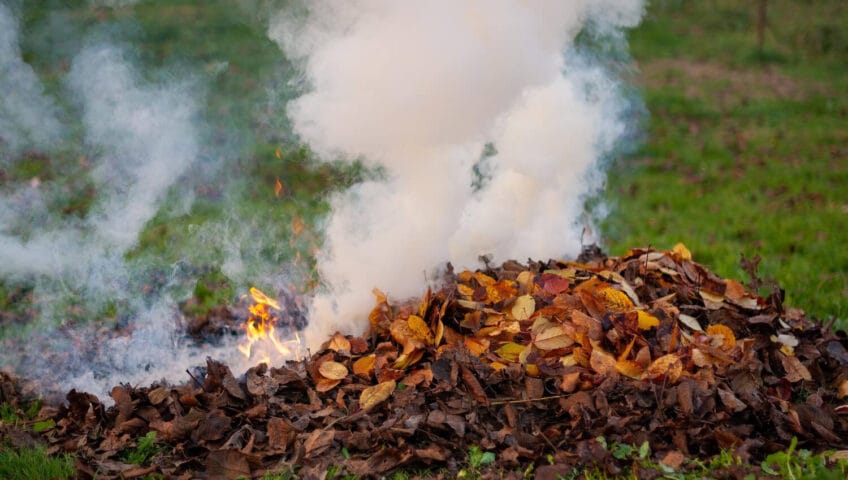 Incinérateur de jardin : que dit la réglementation et quelles alternatives aux déchets verts ?