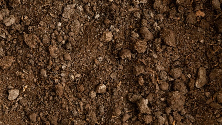 terre de vos travaux